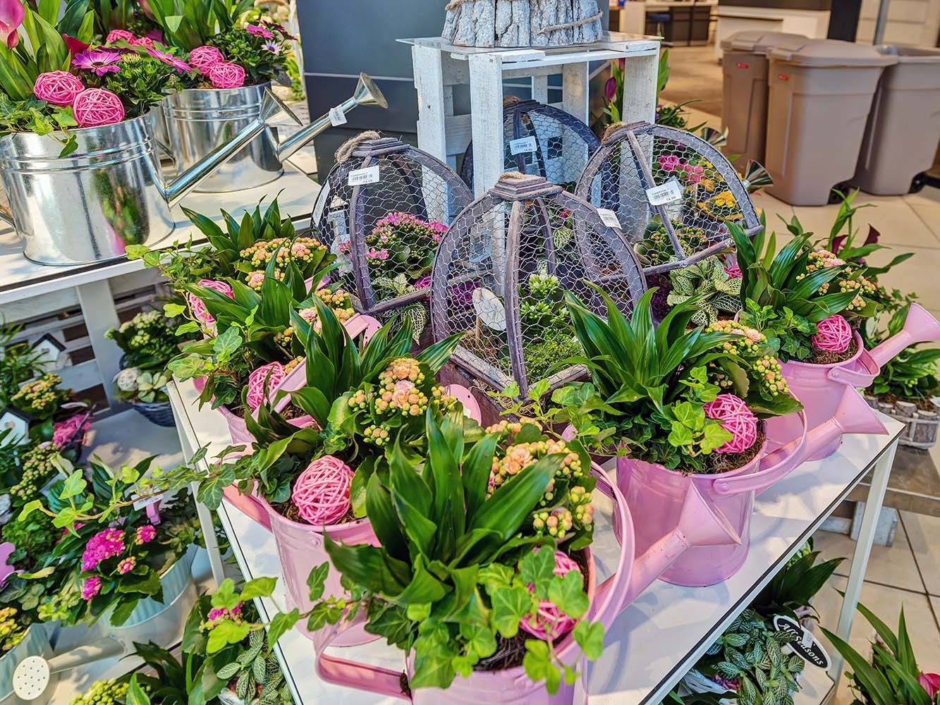 Blumen