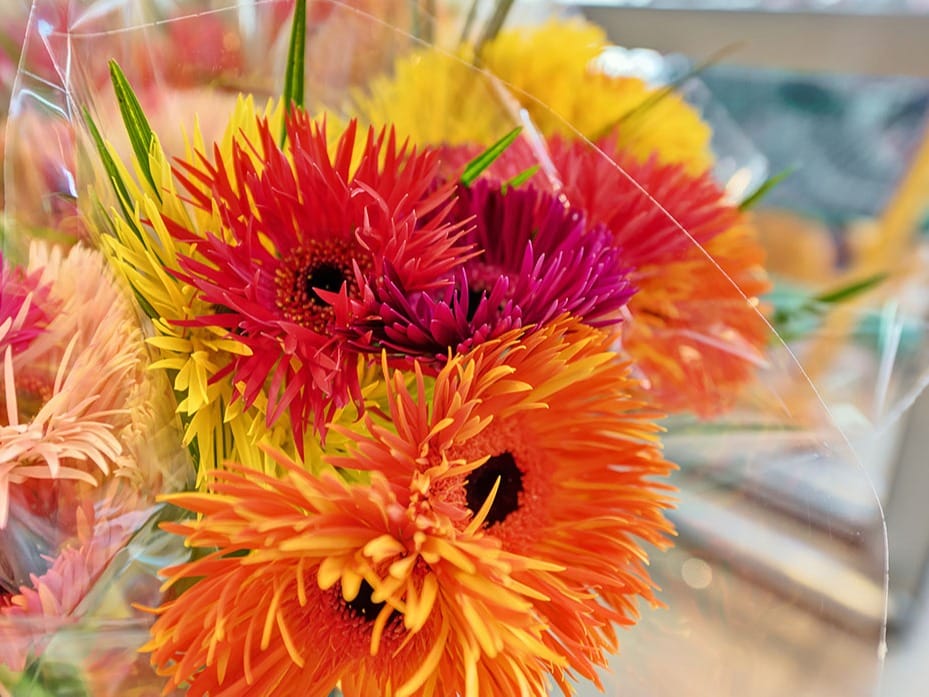 Blumen