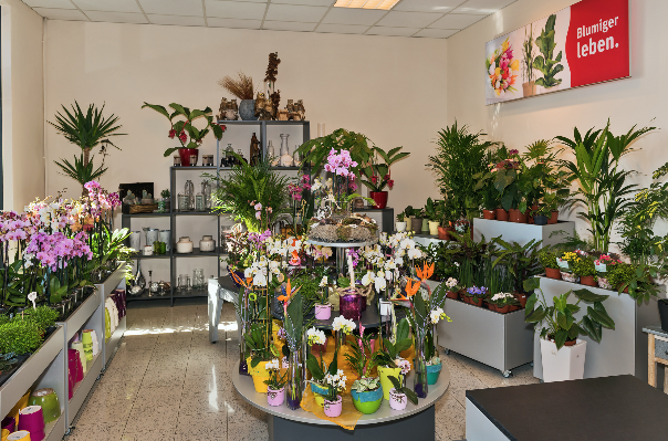 Blumen