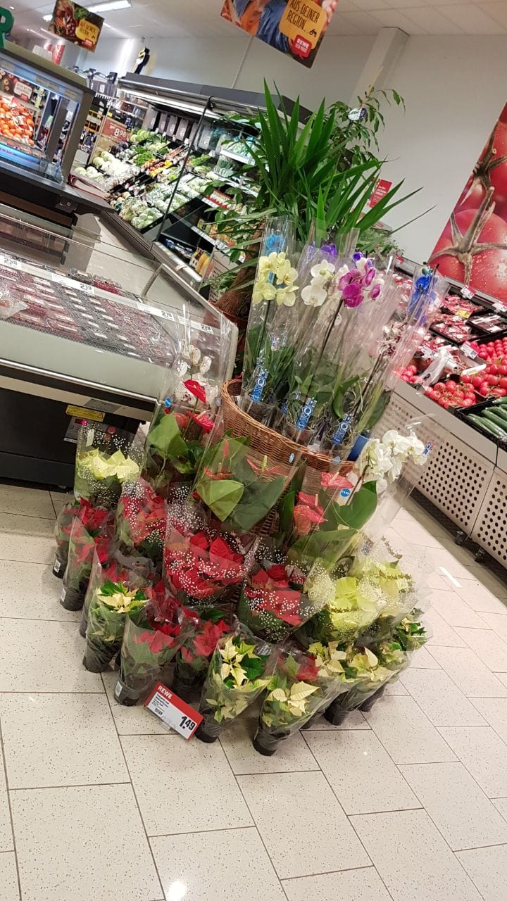 Marktbereich