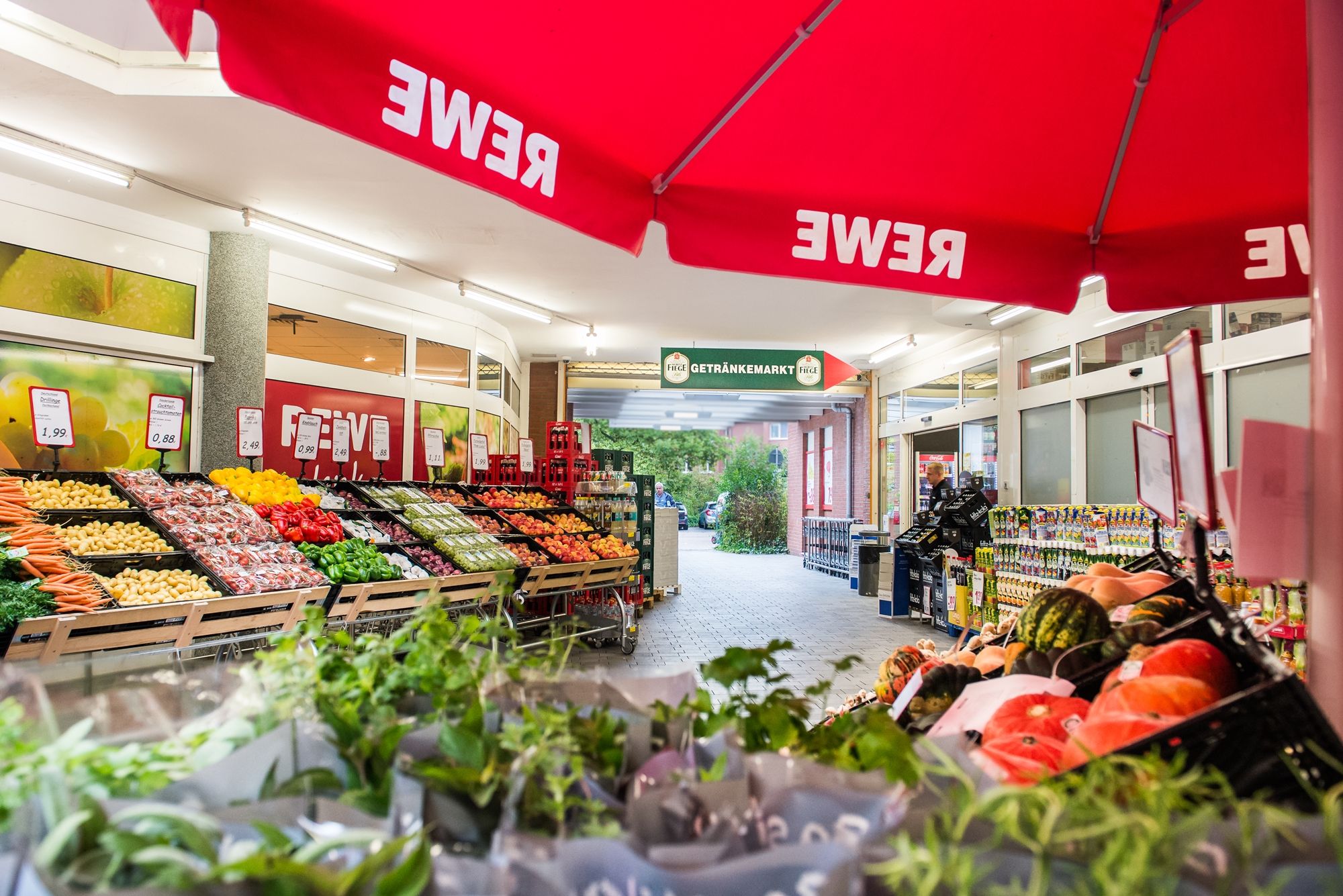 Wie frisch gepflückt - unsere Obst- und Gemüseabteilung
