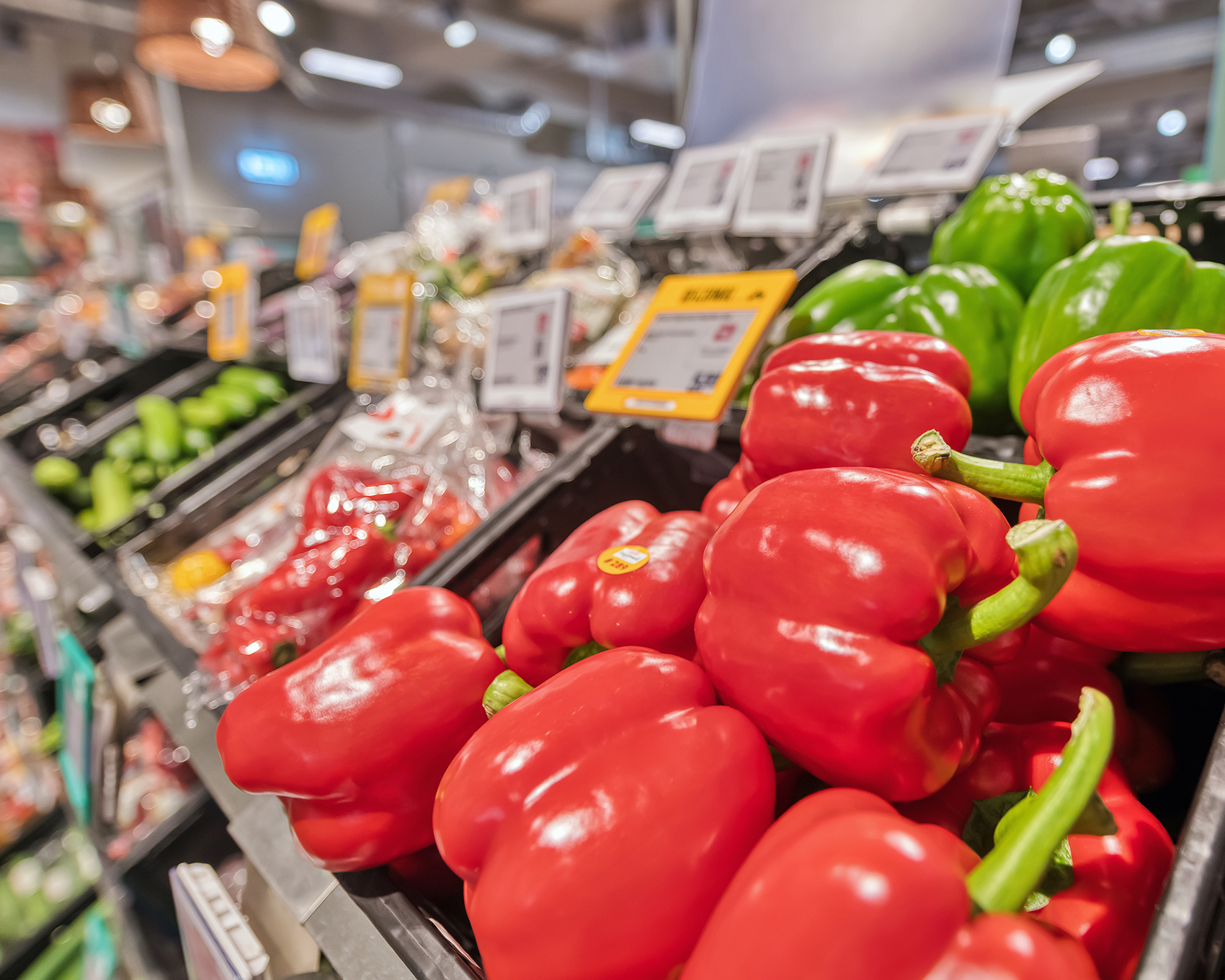 REWE Glawe - knackige Paprika frisch vom Feld