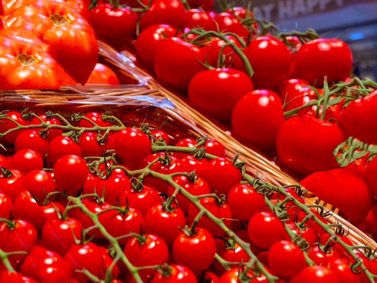 Tomaten