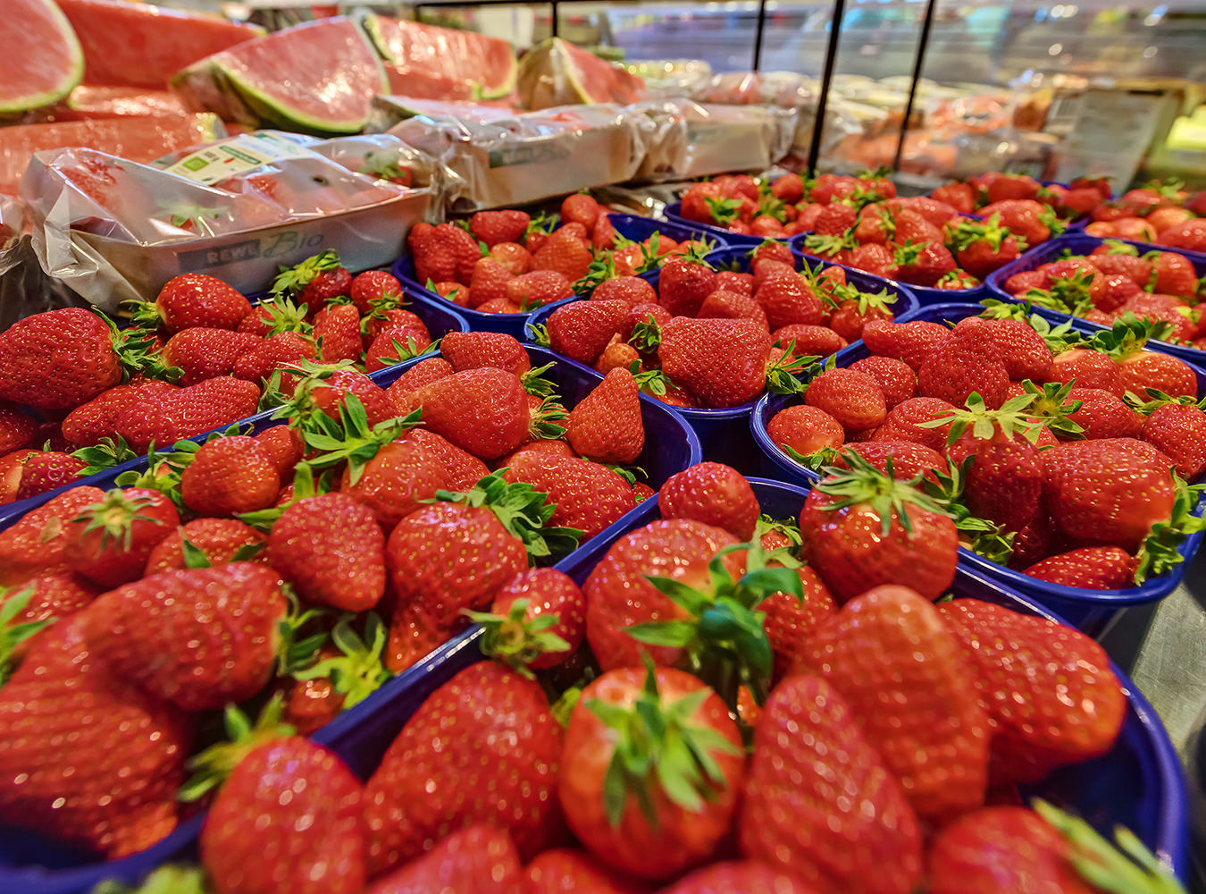 Obst & Gemüse