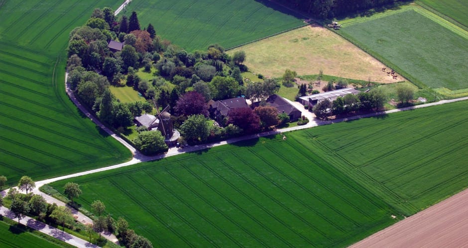 Unser Partner Möllenhof: Frische Eier direkt aus der Region.