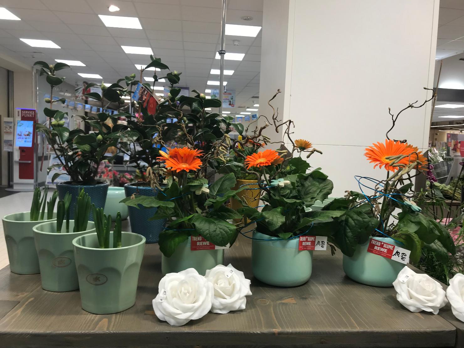 Blumen