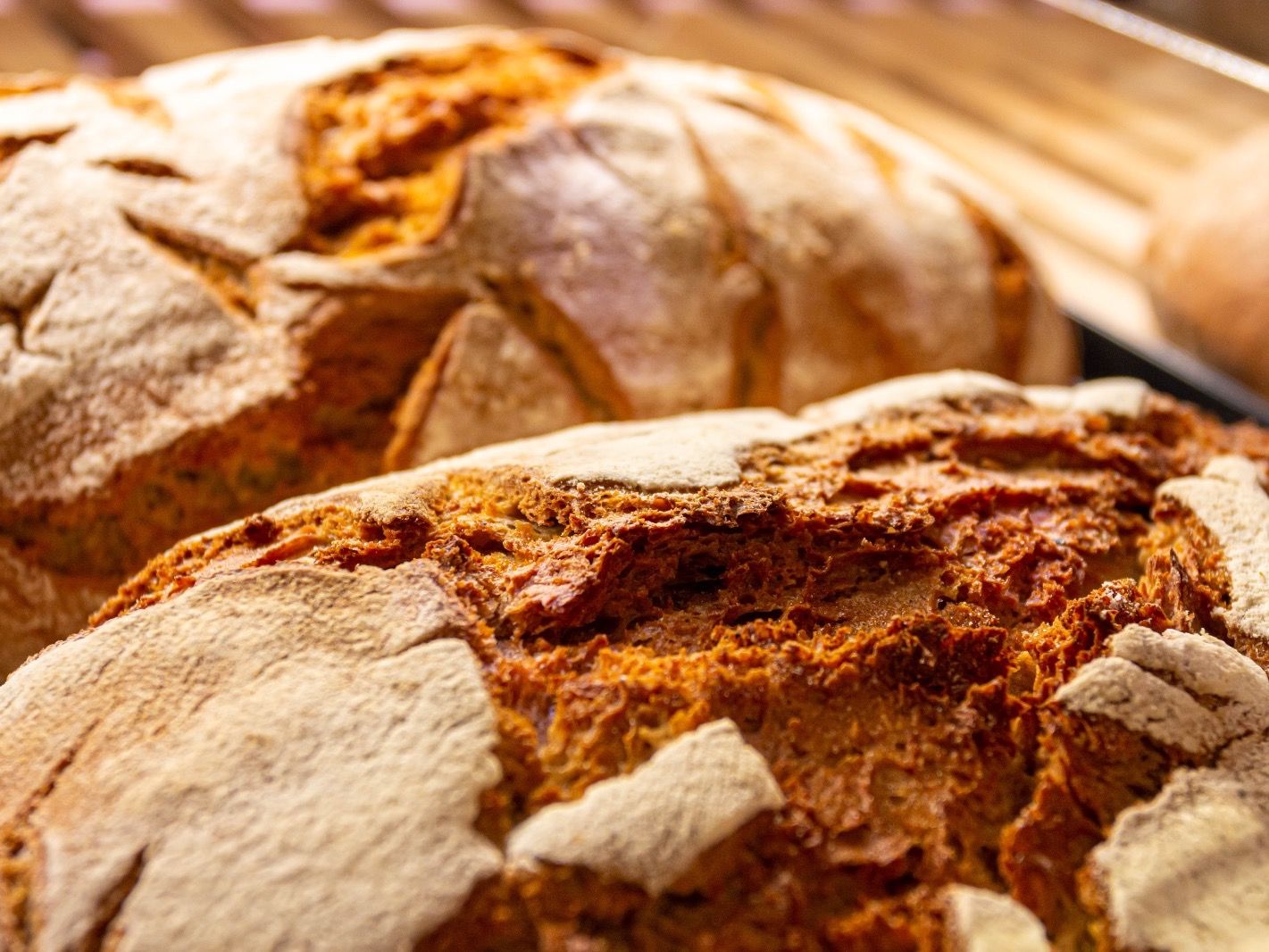 Brot