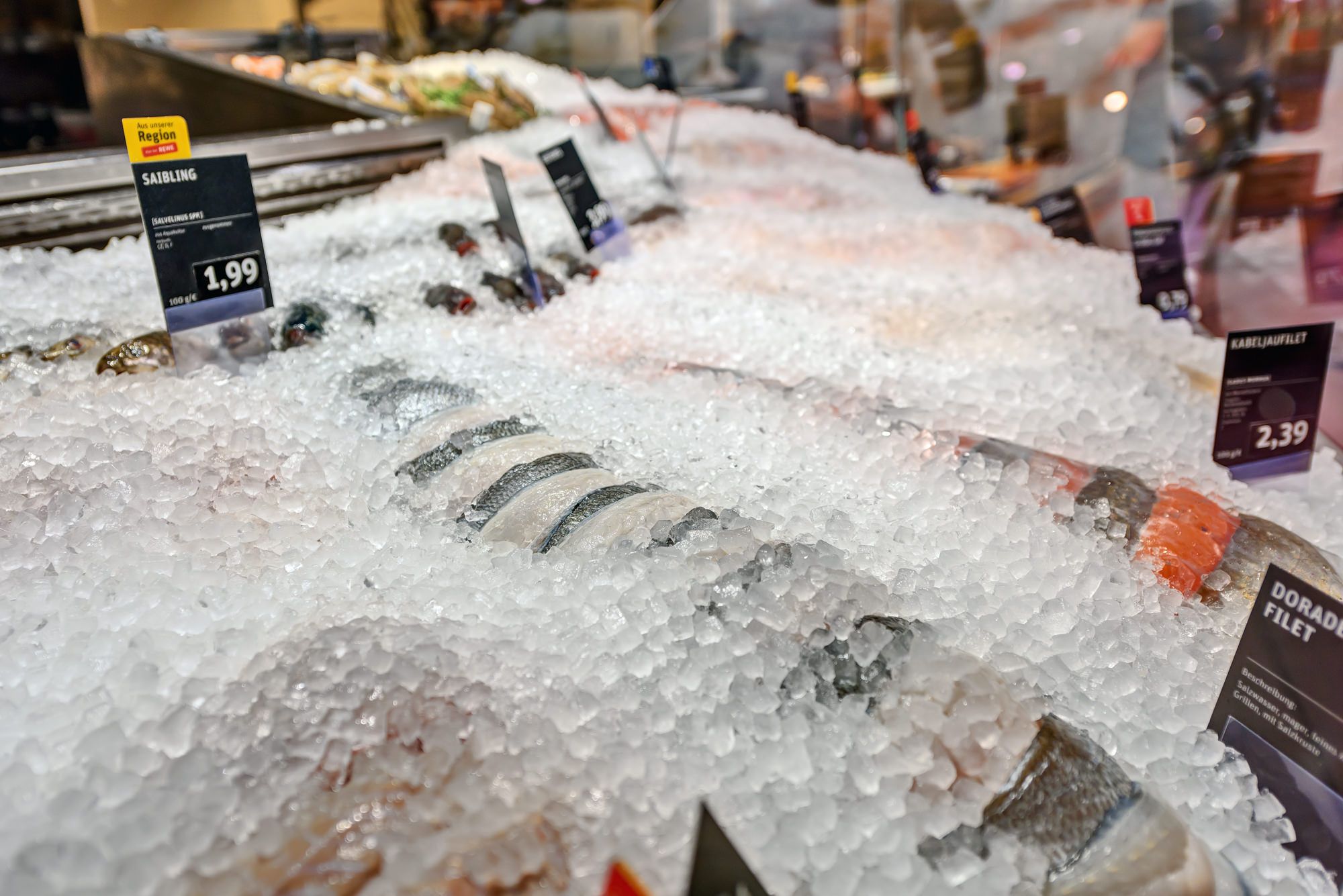 Köstlich frischer Fisch und Meeresfrüchte