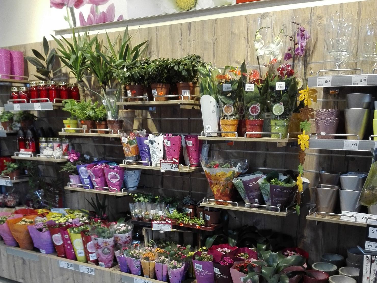 Blumen