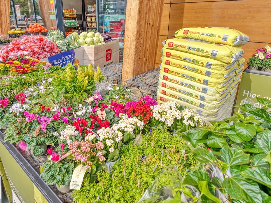 Blumen