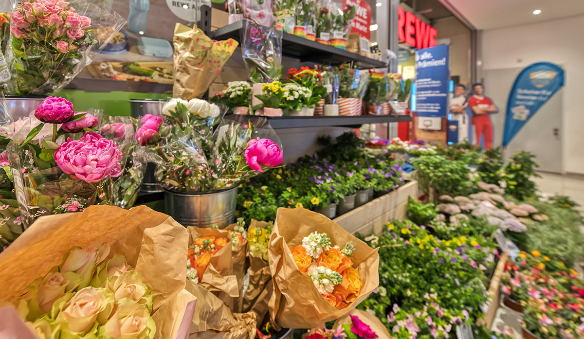 REWE Dominik Diederichs - frische Blumen