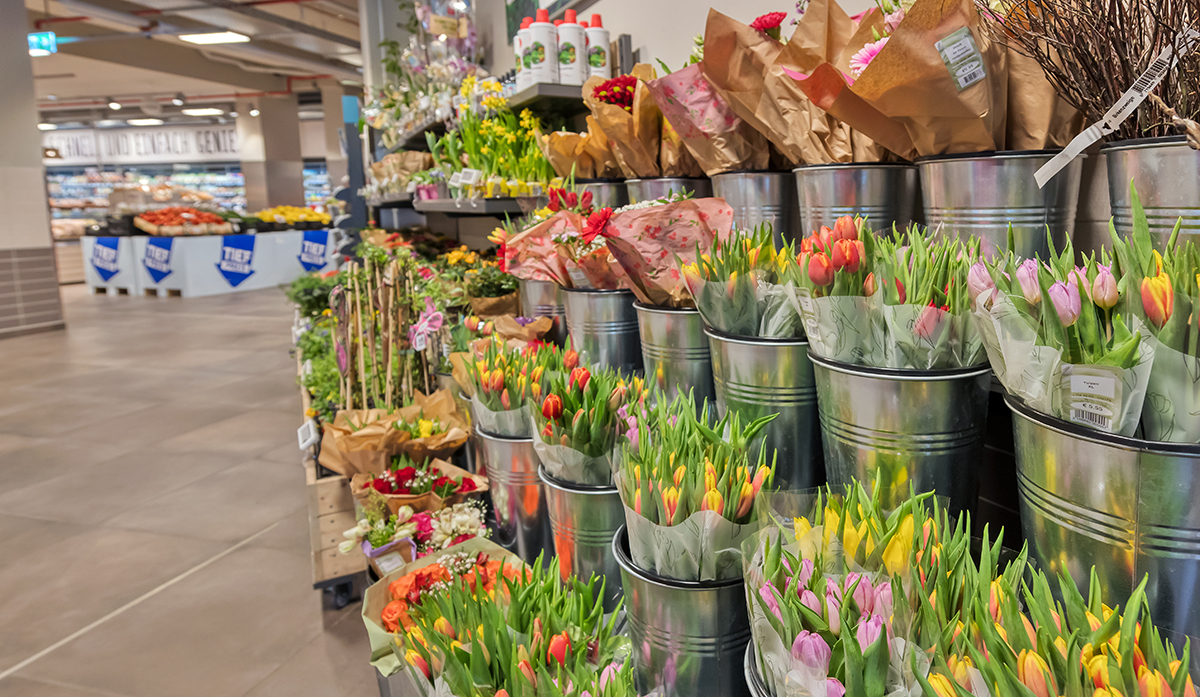 Blumen