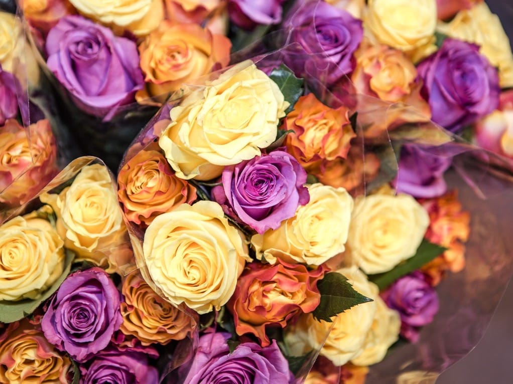 Frische Blumen...