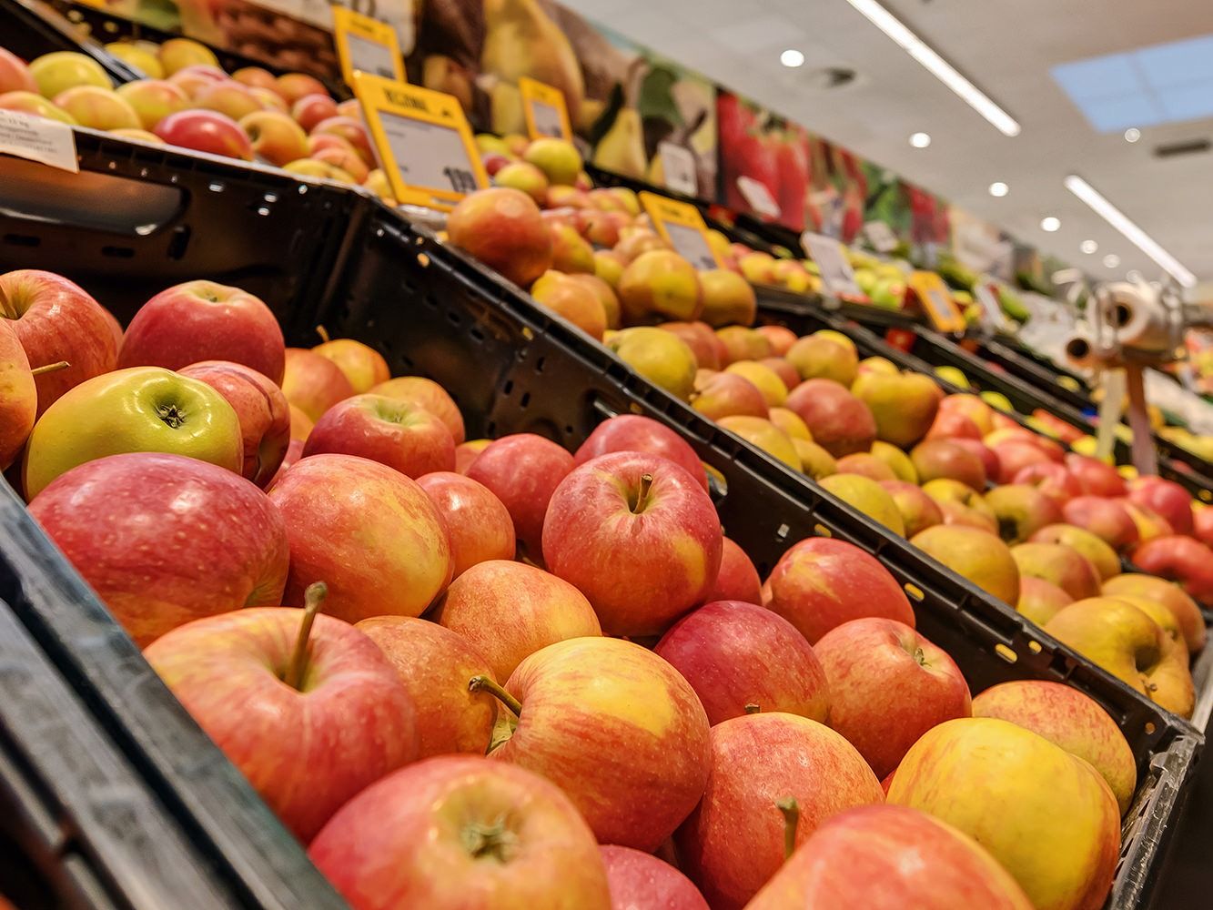 Obst & Gemüse
