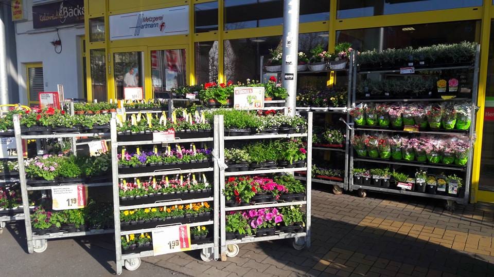 Blumenwelt