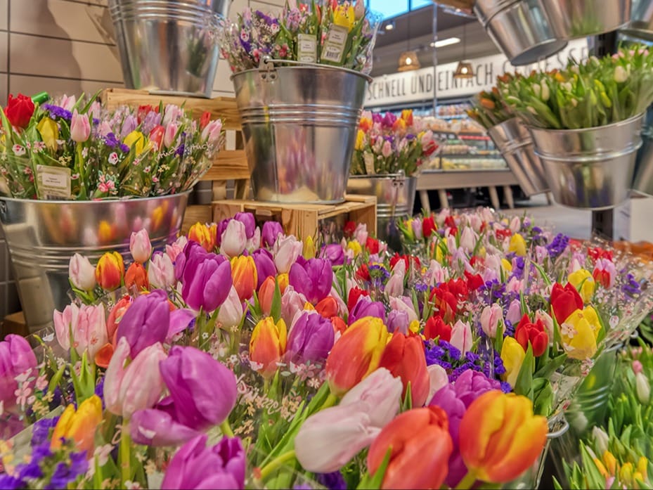 Schnittblumen