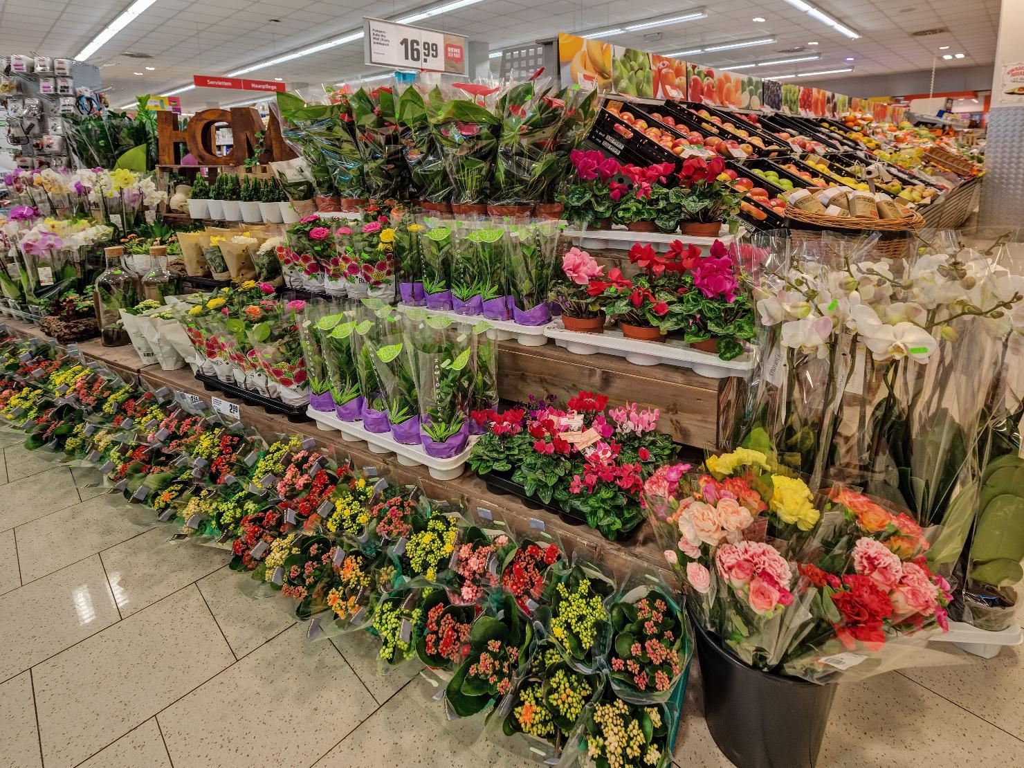 Schnittblumen