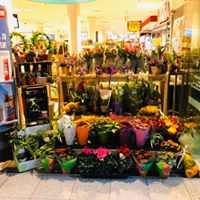 Markt