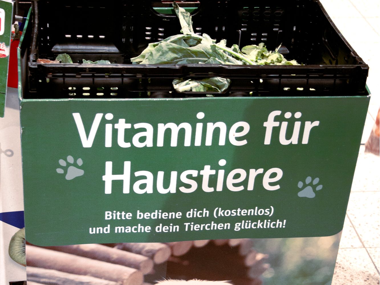 Grünbox für Haustiere