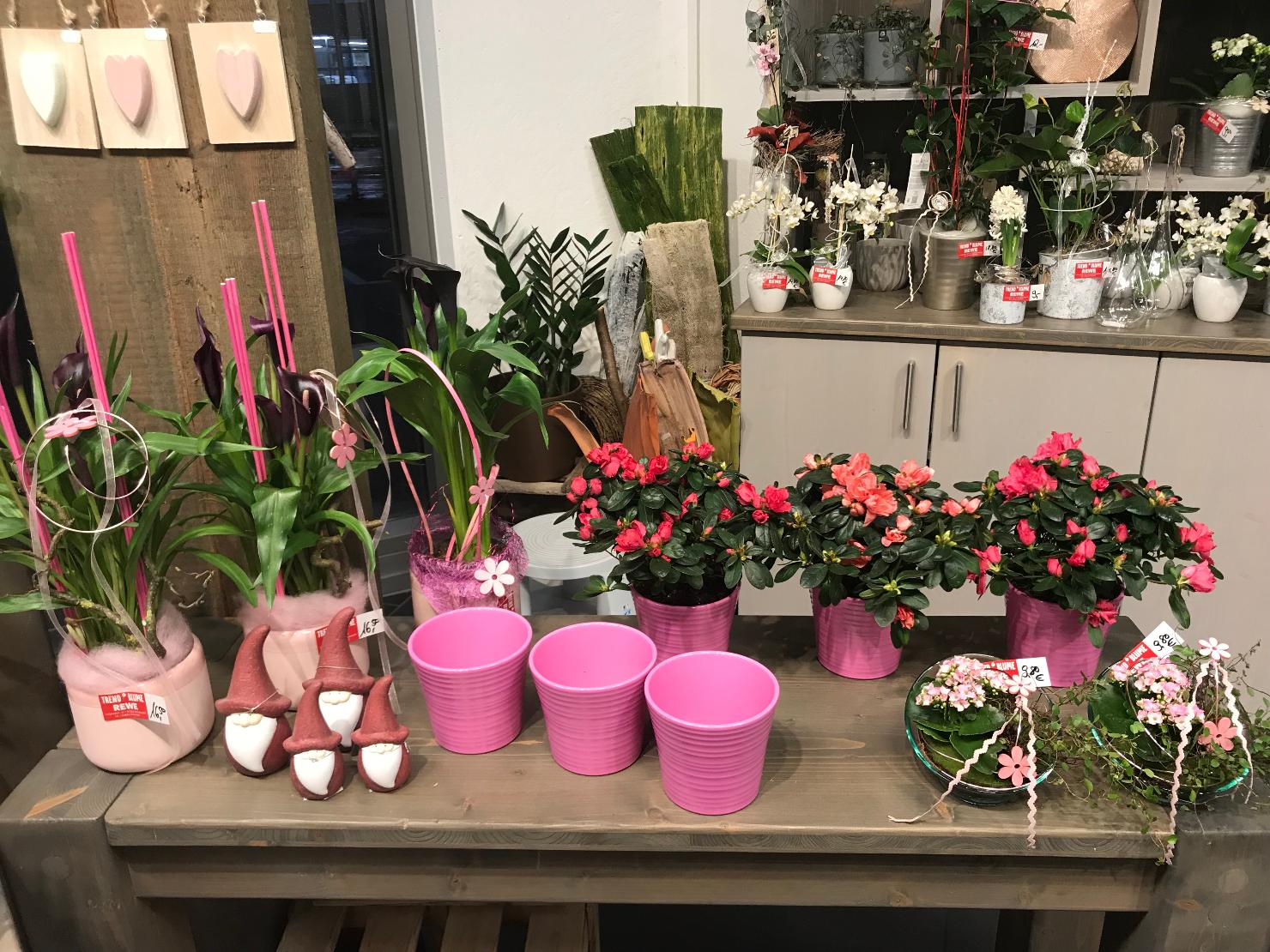 Blumen
