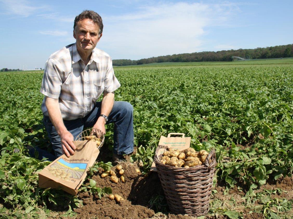 Frisch vom Feld: Kartoffeln des Kartoffelhofs Hammans.