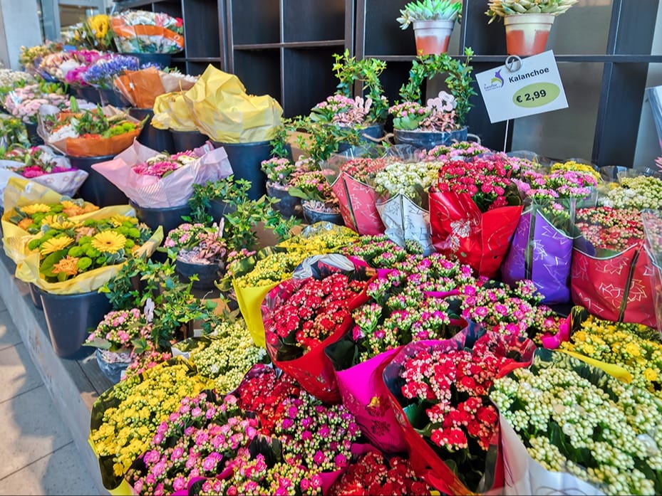 Blumensortiment