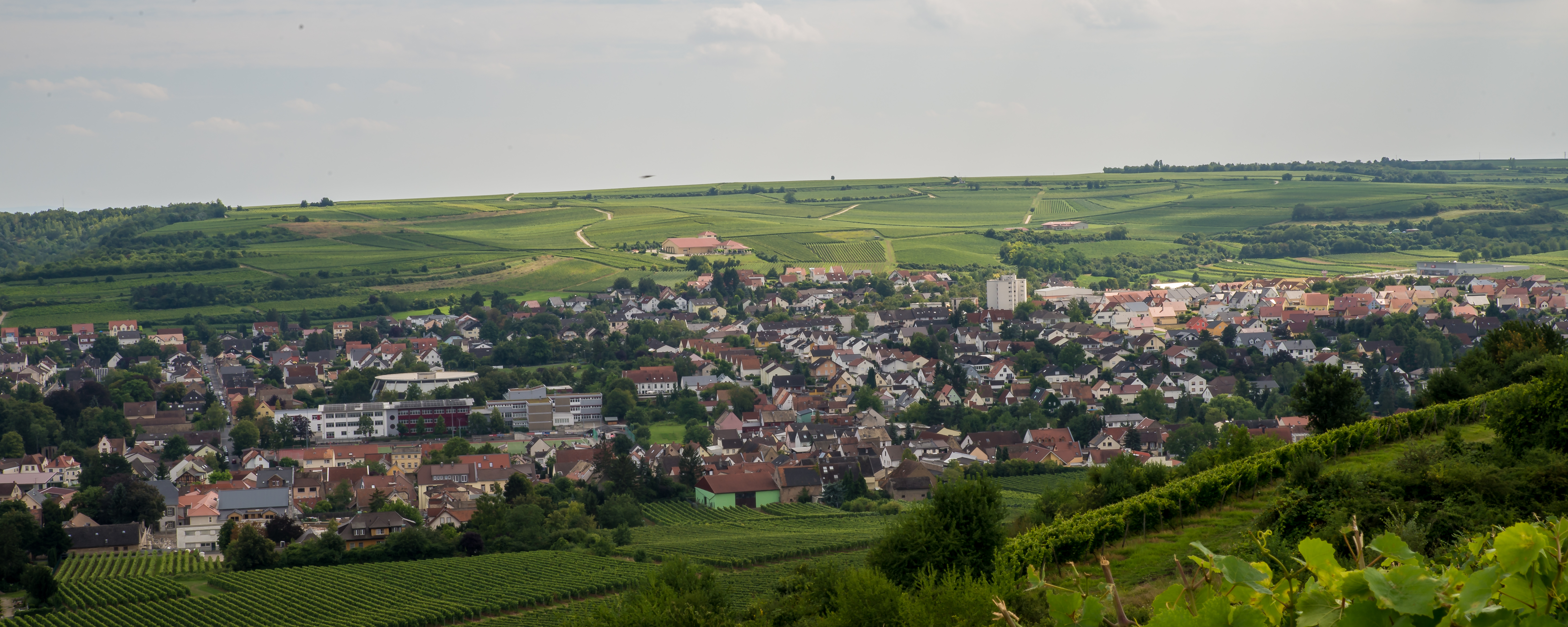 Markt