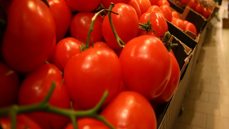 Tomaten