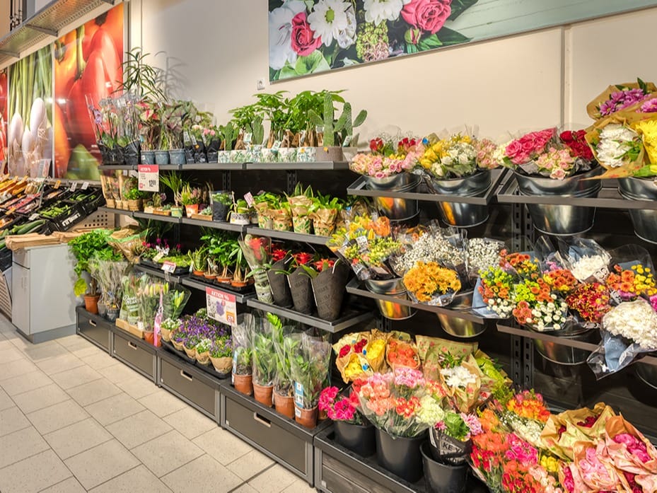 Blumensortiment