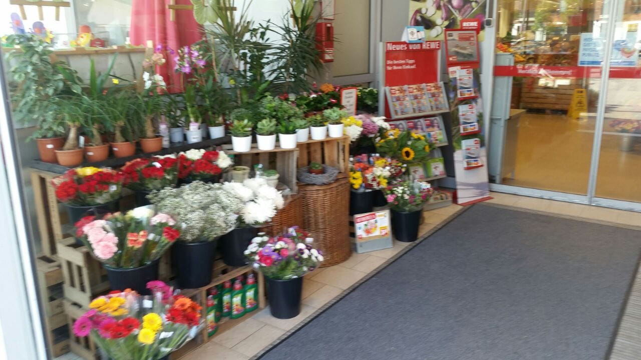 Frische Blumen
