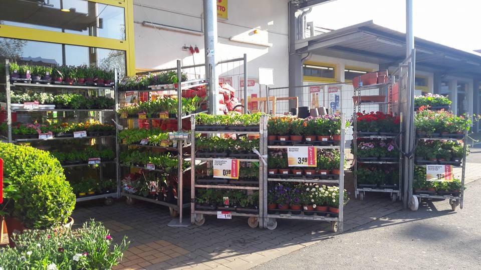 Der Frühling kommt