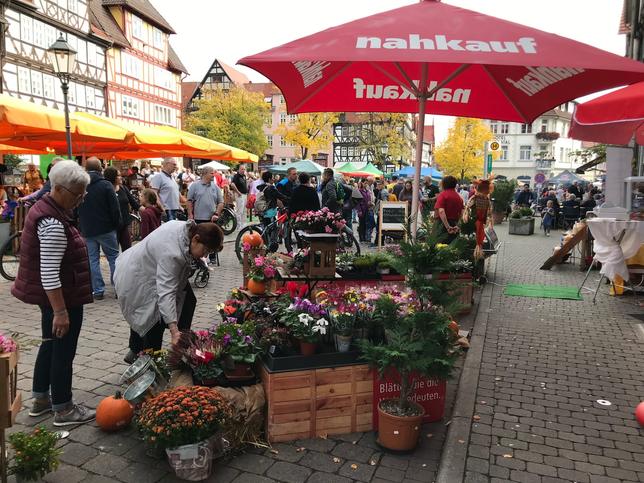 Bauernmarkt