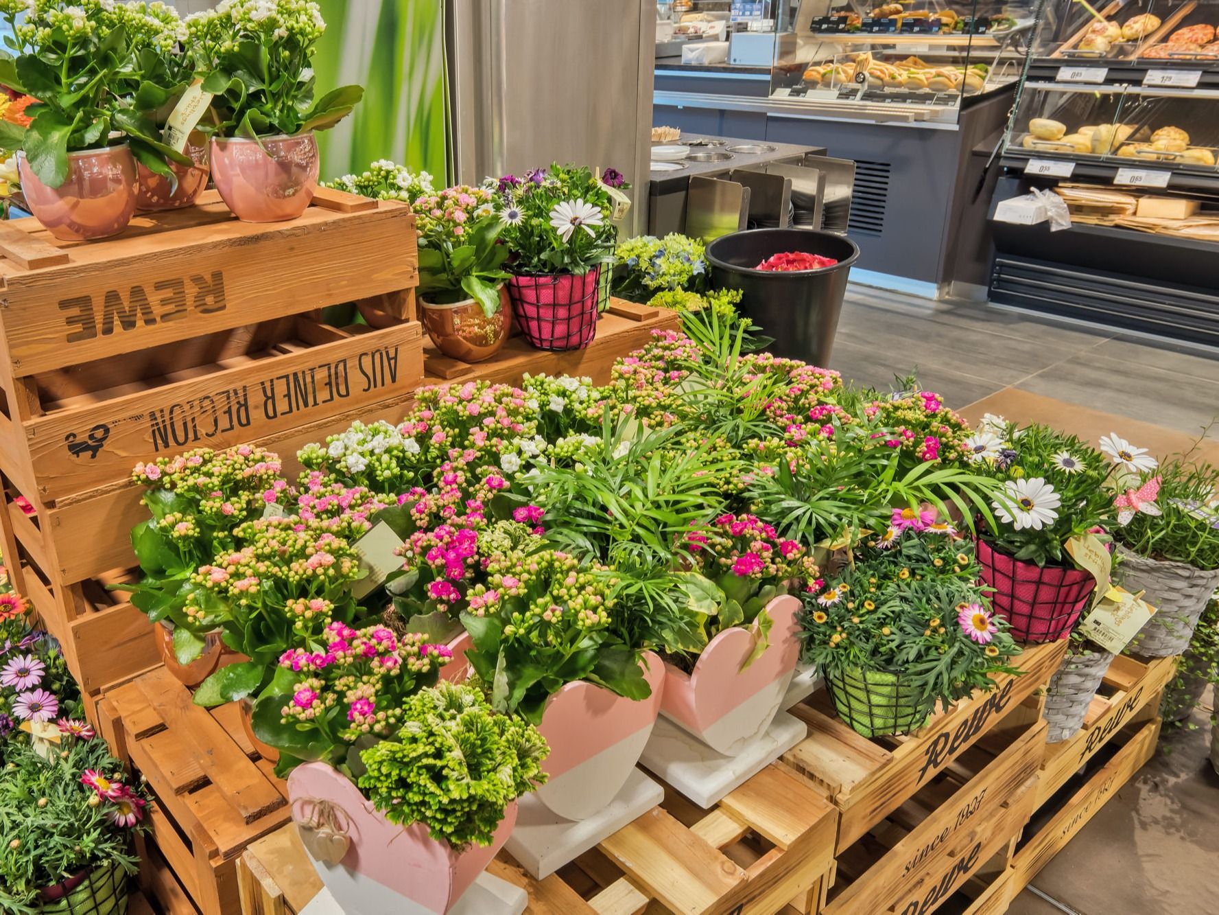 frische Blumen