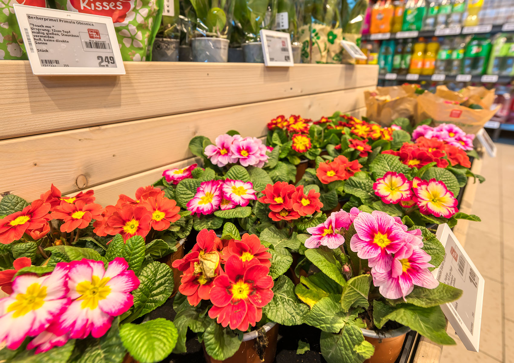 Blumenangebote