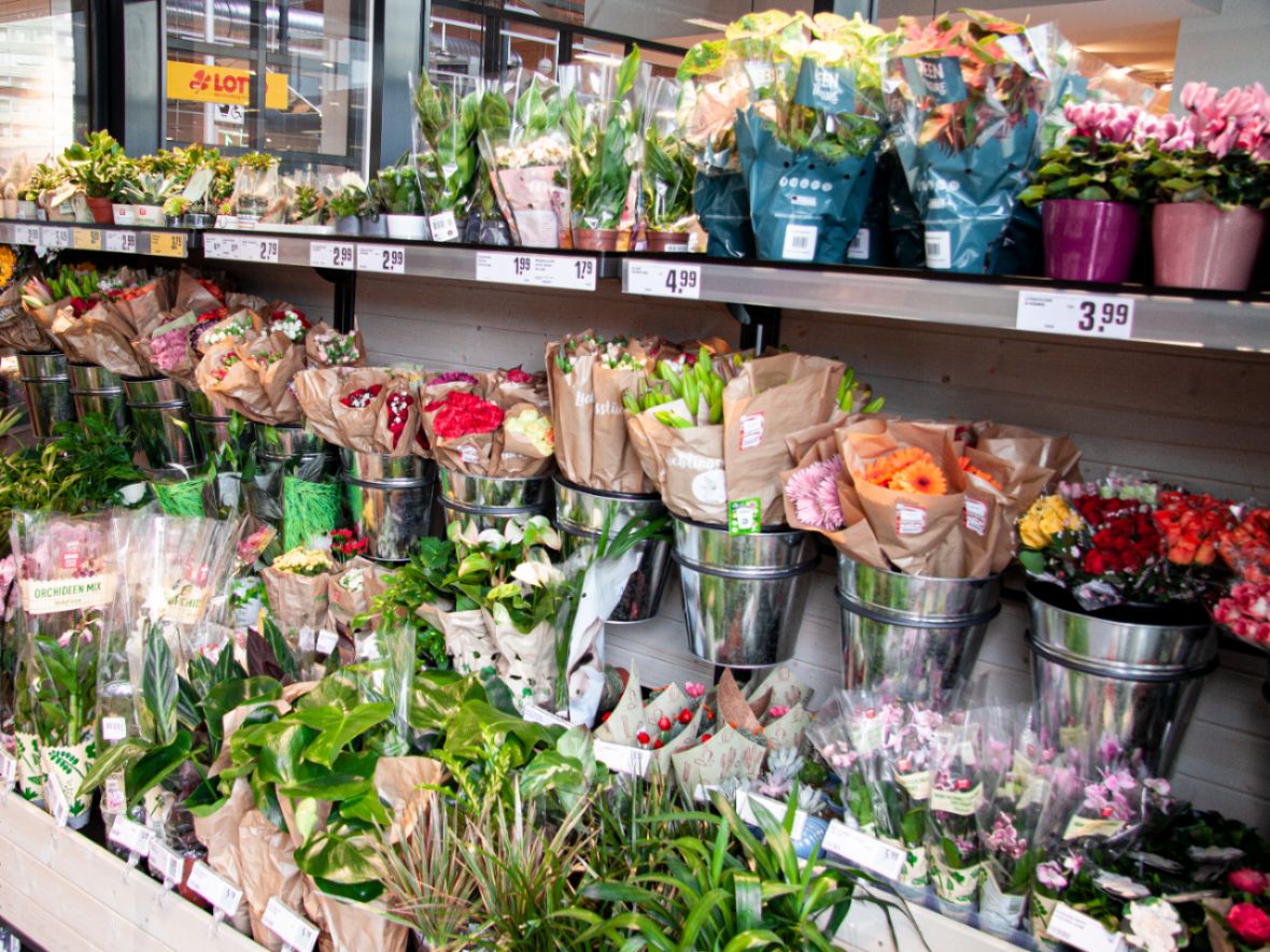 Bilder aus dem Markt